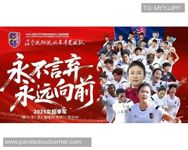 辽宁青训足球球星成长之路排名榜 揭秘新一代足球天才的崛起与未来